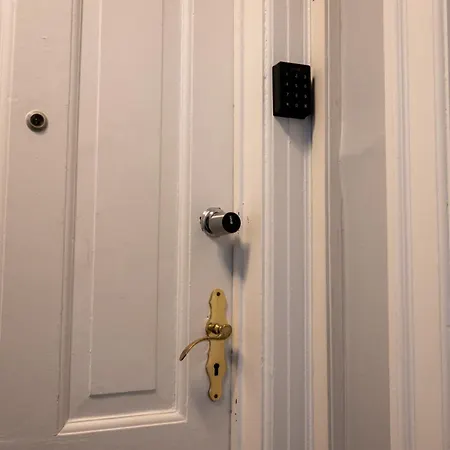 Amazing In Urban Neighborhood