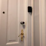 Amazing In Urban Neighborhood